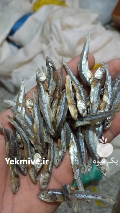 ماهی خشک متوتا در گروه خوراک شیلات و آبزیان در یکمیوه -عکس2