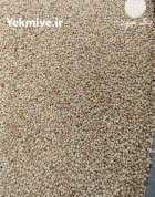 فروش ارزن امسال در قلعه گنج در گروه خرید و فروش غلات و حبوبات در یکمیوه