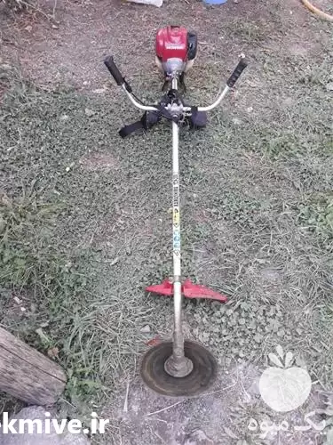 فروش انوع علف زن در گروه علف تراش و علف زن در یکمیوه -عکس1