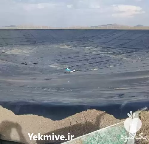 قیمت خرید ویژه ورق های ژئوممبران در اصفهان در گروه خرید و فروش ژئوممبران و ژئوتکستایل در یکمیوه -عکس1