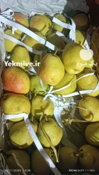 اجاره باغ میوه در کرج در گروه اجاره باغ میوه در یکمیوه