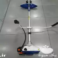 قیمت خرید علف تراش دوشی در تهران در گروه علف تراش و علف زن در یکمیوه