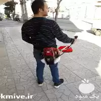 فروش علف تراش هوندا در گروه علف تراش و علف زن در یکمیوه