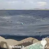 قیمت خرید ویژه ورق های ژئوممبران در اصفهان در گروه خرید و فروش ژئوممبران و ژئوتکستایل در یکمیوه