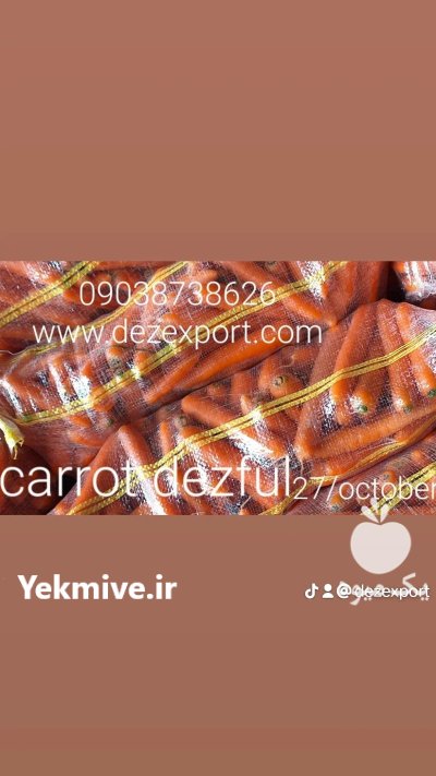 هویچ بازاری درجه یک دزفول در اهواز در گروه خرید و فروش هویج در یکمیوه -عکس1