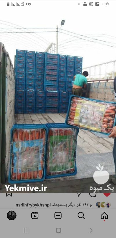 هویچ بازاری درجه یک دزفول در اهواز در گروه خرید و فروش هویج در یکمیوه -عکس2