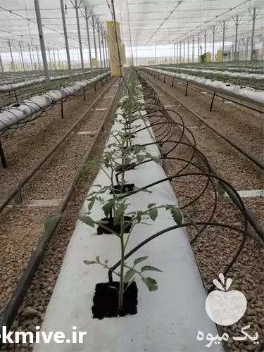 قیمت خرید اسپایک با قیمت مناسب در تهران در گروه خرید و فروش دستگاه آبیاری در یکمیوه -عکس1