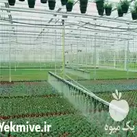 آبیاری قطره ایرانی هوشمند در ساری در گروه خرید و فروش اتصالات و تجهیزات آبیاری در یکمیوه