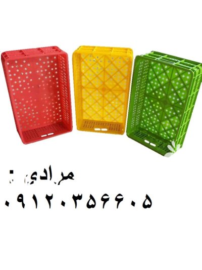 سبد خرمایی در بوشهر در گروه خرید و فروش انواع سبد در یکمیوه -عکس1