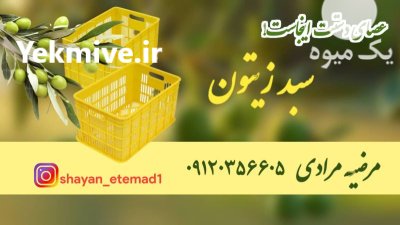تولید سبد زیتون تولیدی سبد حمل در رودبار در گروه خرید و فروش انواع سبد در یکمیوه -عکس1