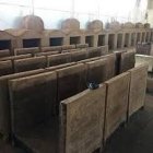 فروش عمده زغال قلیانی در گرگان در گروه خرید و فروش زغال در یکمیوه