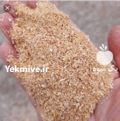 سبوس گندم در قزوین در گروه خرید و فروش گندم و جو در یکمیوه -عکس1