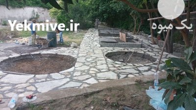 محوطه سنگی تهران در گروه سازنده در یکمیوه -عکس2