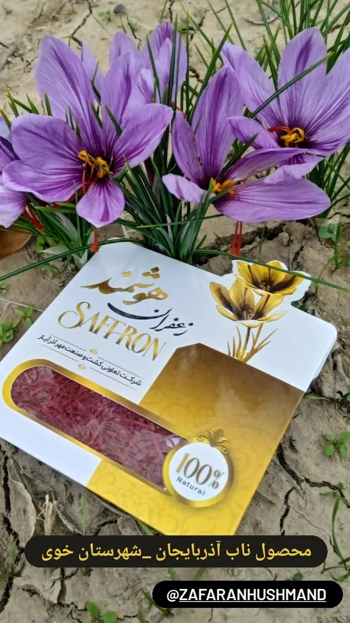 آموزش کشت زعفران با عالیترین کیفیت در ارومیه در گروه دوره آموزش کشاورزی در یکمیوه -عکس3