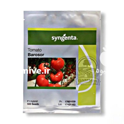بذر گوجه گلخانه ای باروسور سینجنتا در اهواز در گروه خرید و فروش بذر گوجه در یکمیوه -عکس1