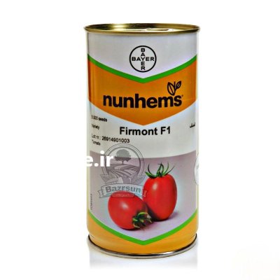 بذر گوجه فرمونت نانهمز در اهواز در گروه خرید و فروش انواع بذر در یکمیوه -عکس1