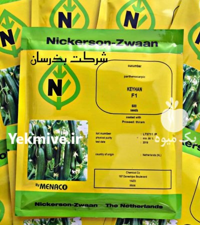 بذر خیار گلخانه ای کیهان در اهواز در گروه خرید و فروش بذر خیار در یکمیوه -عکس1