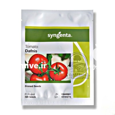 بذر گوجه گلخانه ای دافنیس سینجنتا در گروه خرید و فروش بذر گوجه در یکمیوه -عکس1