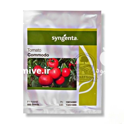بذر گوجه گلخانه کومودو سینجنتا در اهواز در گروه خرید و فروش بذر گوجه در یکمیوه -عکس1