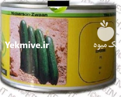 بذر خیار فضای باز سوپرینا در اهواز در گروه خرید و فروش بذر خیار در یکمیوه -عکس1
