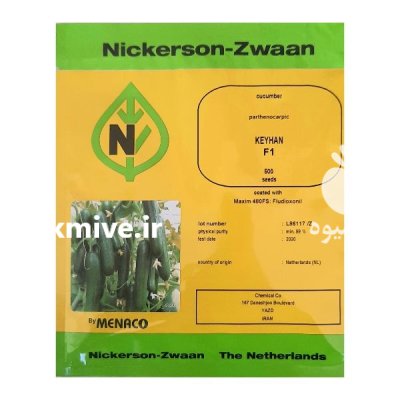 بذر خیار گلخانه ای کیهان در اهواز در گروه خرید و فروش بذر خیار در یکمیوه -عکس1