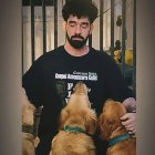 فروش سگ گلدن رتویر با اصالت در کرج در گروه سگ و گربه در یکمیوه