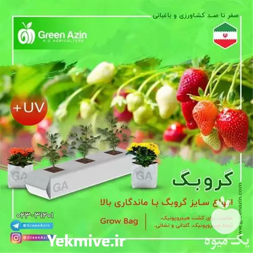 قیمت خرید عمده گروبک های آماده در تهران در گروه خرید و فروش بسته بندی نایلونی در یکمیوه -عکس1