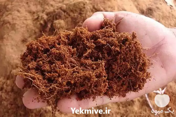 قیمت خرید کوکوپیت سریلانکا در تهران در گروه خرید و فروش انواع کود کشاورزی در یکمیوه -عکس1