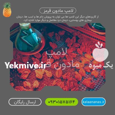 لامپ مادون قرمز محصول زمستان در گروه خرید و فروش لامپ رشد در یکمیوه -عکس1