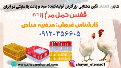 فروش سبد حمل مرغ زنده قفس در گروه تجهیزات مرغداری در یکمیوه -عکس1
