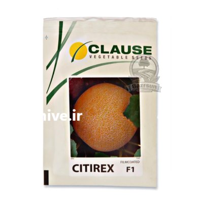 بذر خربزه گالیا سیتیرکس کلوز در اهواز در گروه خرید و فروش بذر خربزه در یکمیوه -عکس1