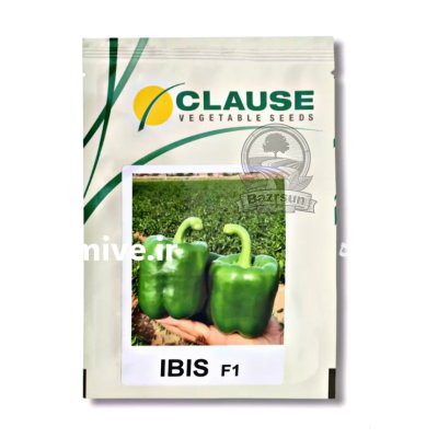 بذر فلفل دلمه ایبیس کلوز در اهواز در گروه خرید و فروش بذر فلفل در یکمیوه -عکس1