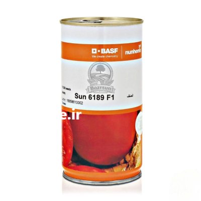 بذر گوجه سانسید 6189 Sun 6189 در اهواز در گروه خرید و فروش انواع بذر در یکمیوه -عکس3