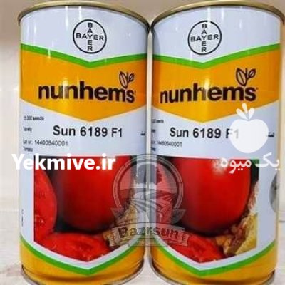 بذر گوجه سانسید 6189 Sun 6189 در اهواز در گروه خرید و فروش انواع بذر در یکمیوه -عکس1