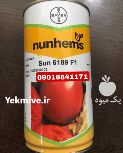 بذر گوجه سانسید 6189 Sun 6189 در اهواز در گروه خرید و فروش انواع بذر در یکمیوه -عکس2