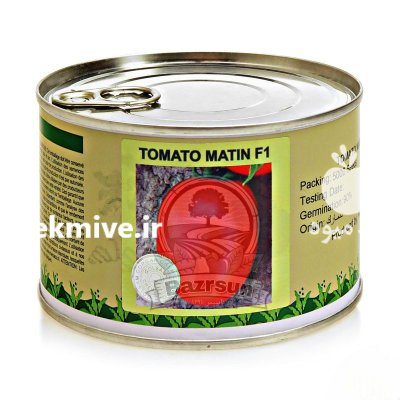 بذر گوجه متین در اهواز در گروه خرید و فروش انواع بذر در یکمیوه -عکس1