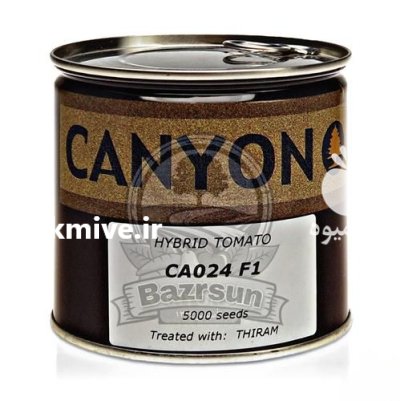 بذر گوجه فرنگی گیلاسی CA 024 در اهواز در گروه خرید و فروش بذر گوجه در یکمیوه -عکس2