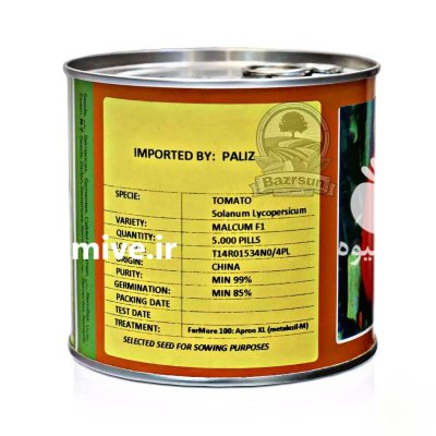 بذر گوجه مالکوم در گروه خرید و فروش گوجه فرنگی در یکمیوه -عکس2