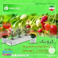 قیمت خرید عمده گروبک های آماده در تهران در گروه خرید و فروش بسته بندی نایلونی در یکمیوه