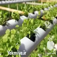 قیمت خرید ضد عفونی بستر کشت در تهران در گروه خرید و فروش انواع کود کشاورزی در یکمیوه