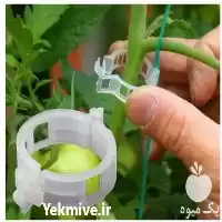 قیمت خرید بست گلخانه در تهران در گروه خرید و فروش تجهیزات گلخانه در یکمیوه