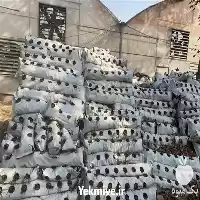 فروش قیمت کوکوپیت خاک کشت در گروه خرید و فروش انواع کود کشاورزی در یکمیوه