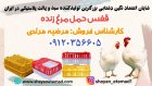 فروش سبد حمل مرغ زنده قفس در گروه تجهیزات مرغداری در یکمیوه
