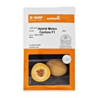 بذر خربزه آناناسی کریر نانهمز در گروه خرید و فروش بذر خربزه در یکمیوه