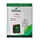 بذر فلفل دلمه 9325 PS 09979325 سمینیس در اهواز در گروه خرید و فروش بذر فلفل در یکمیوه