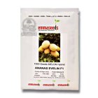 بذر خربزه آناناسی اولین اماسیدز در اهواز در گروه خرید و فروش بذر خربزه در یکمیوه