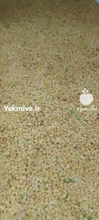 فروش ارزن در ملایر در گروه خرید و فروش غلات و حبوبات در یکمیوه