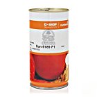 بذر گوجه فرنگی سانسید 6189 در اهواز در گروه خرید و فروش بذر گوجه در یکمیوه