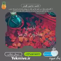 قیمت خرید لامپ مادون قرمز محصول در اصفهان در گروه خرید و فروش لامپ رشد در یکمیوه