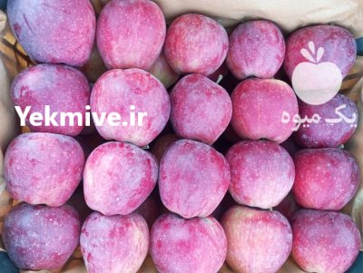 سلام 40 تن سیب قرمز درجه یک در ارومیه در گروه خرید و فروش سیب در یکمیوه -عکس2